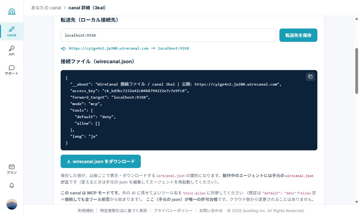 セットアップタブの wirecanal.json